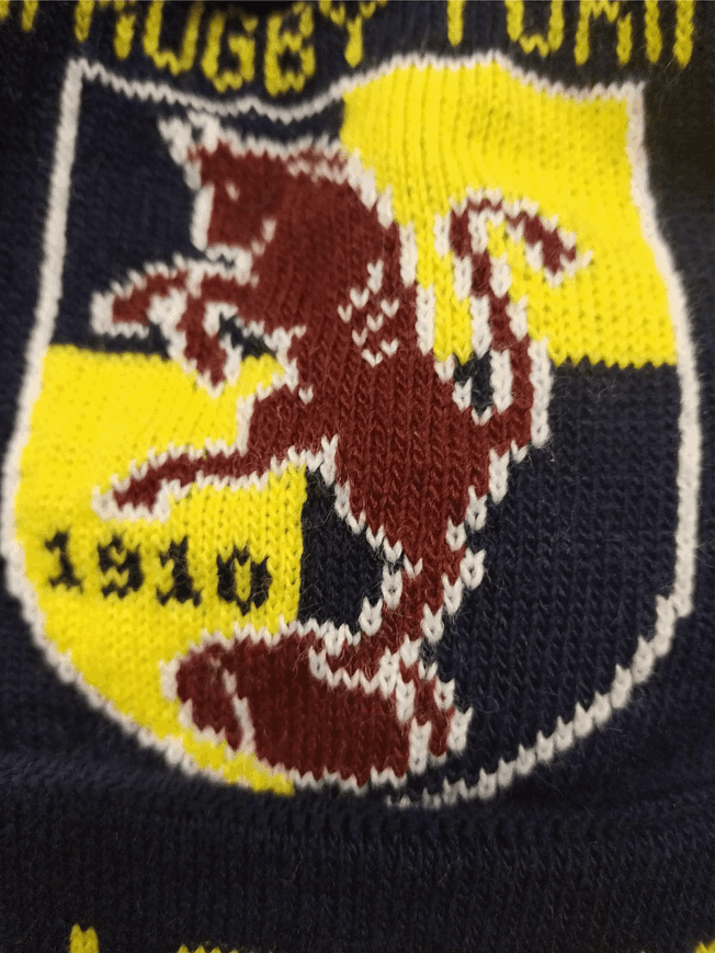 particolare logo ingrandito rugby torino particolare logo ingrandito rugby torino