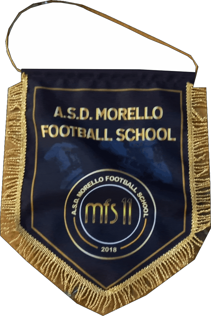 gagliardetto academy morello gagliardetto academy morello