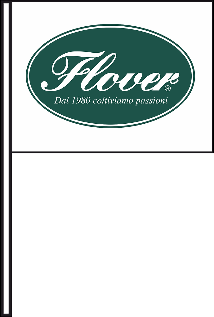 bandiera con asta flover bandiera con asta flover