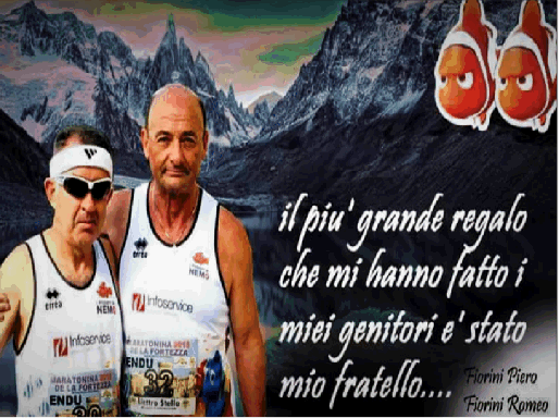 bandiera a due aste podisti bandiera a due aste podisti