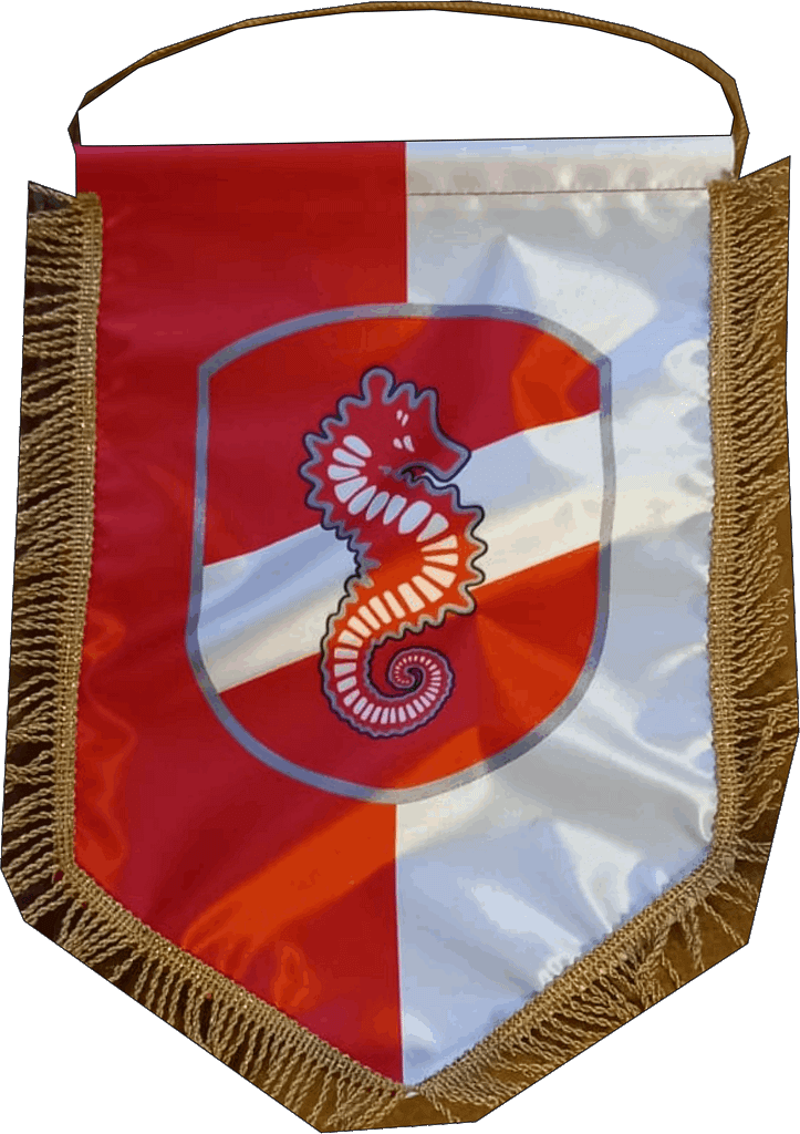 gagliardetto cimiano gagliardetto cimiano