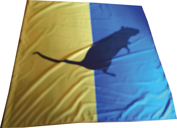 Bandiera a 2 aste Venarotta personalizzata Bandiera a 2 aste Venarotta