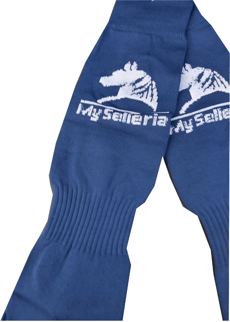 particolare selleria alto particolare selleria alto