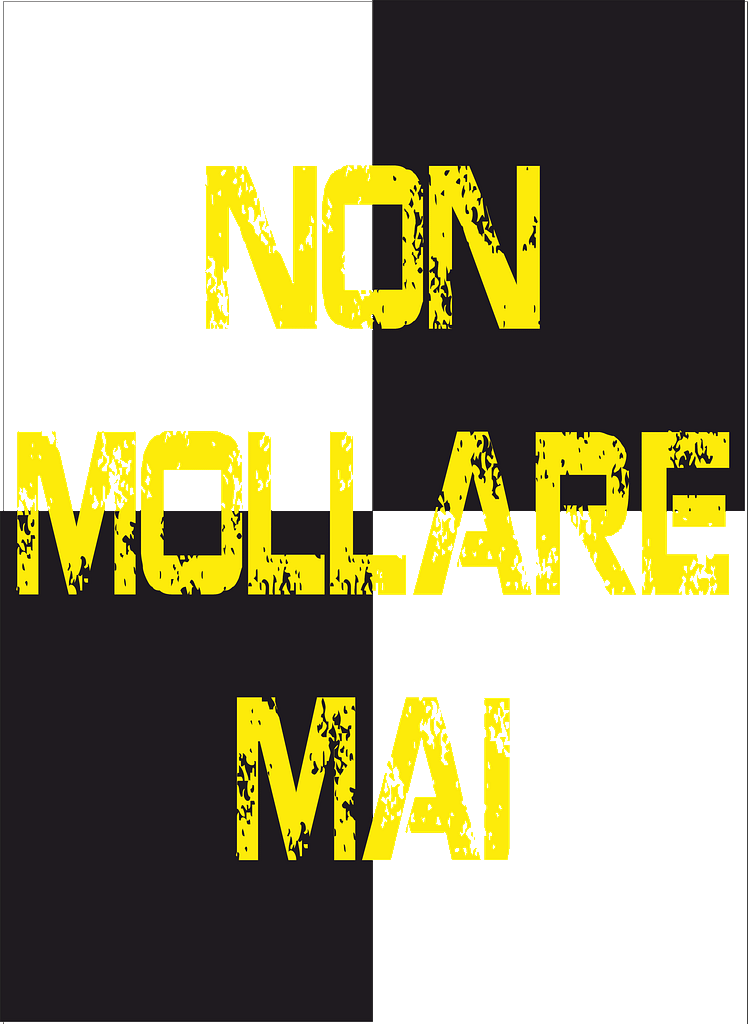 bandiera a due aste non mollare mai bandiera a due aste non mollare mai