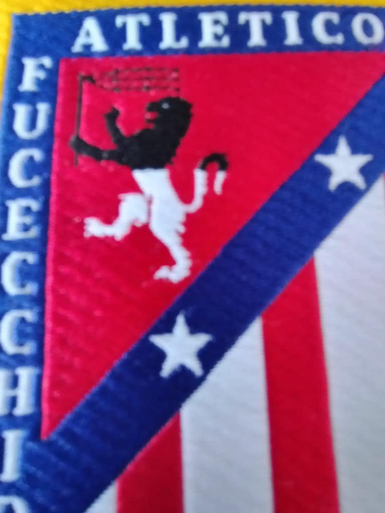 patch fucecchio particolare patch fucecchio particolare