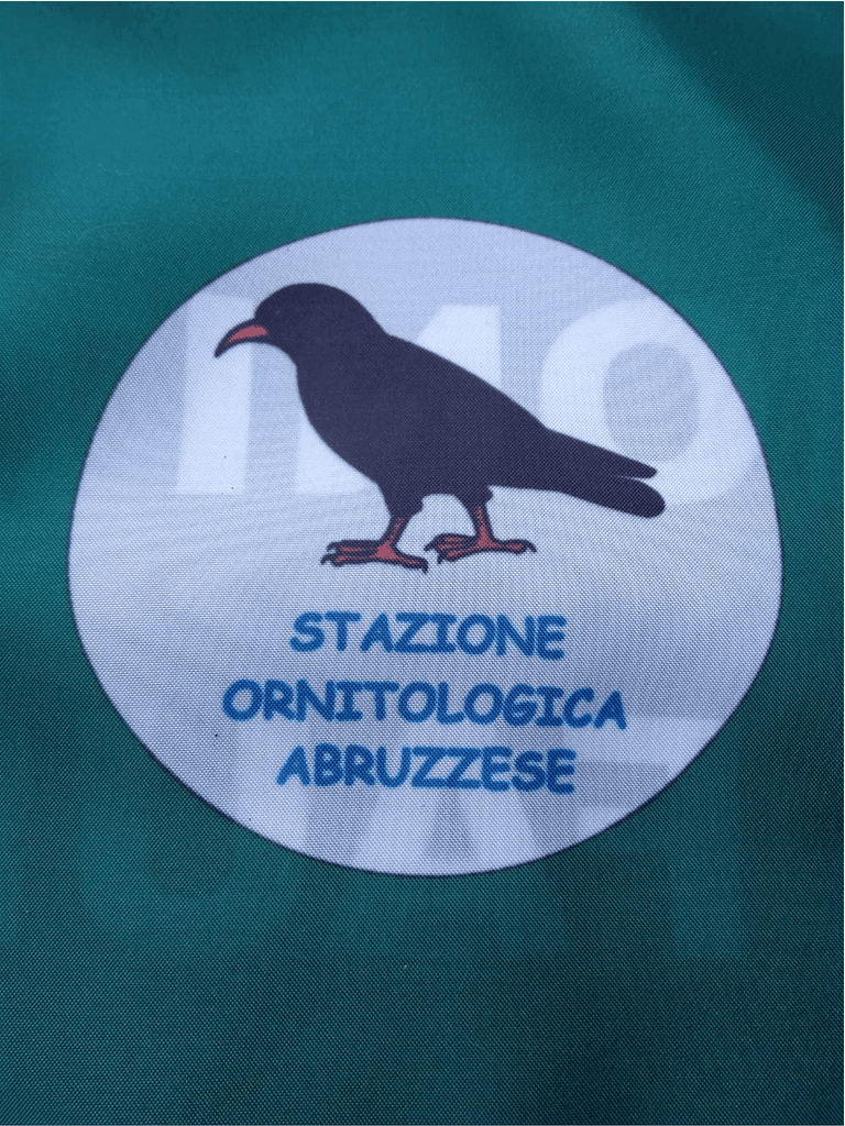 particolare particolare
