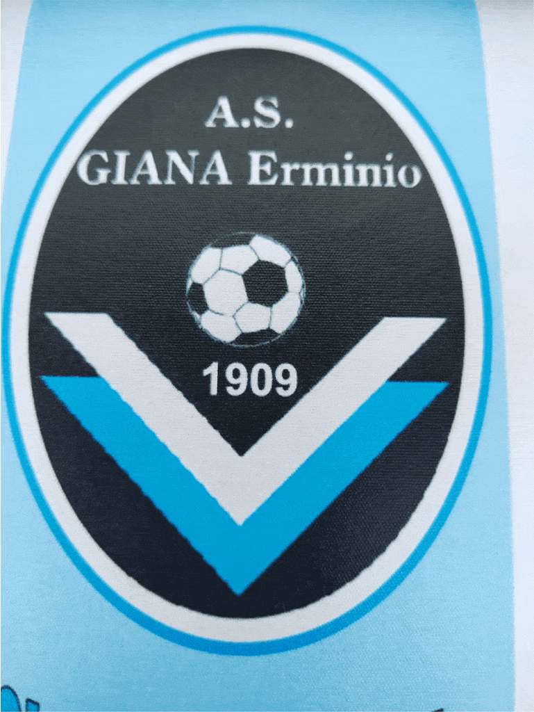 gagliardetto giana particolare logo gagliardetto giana particolare logo