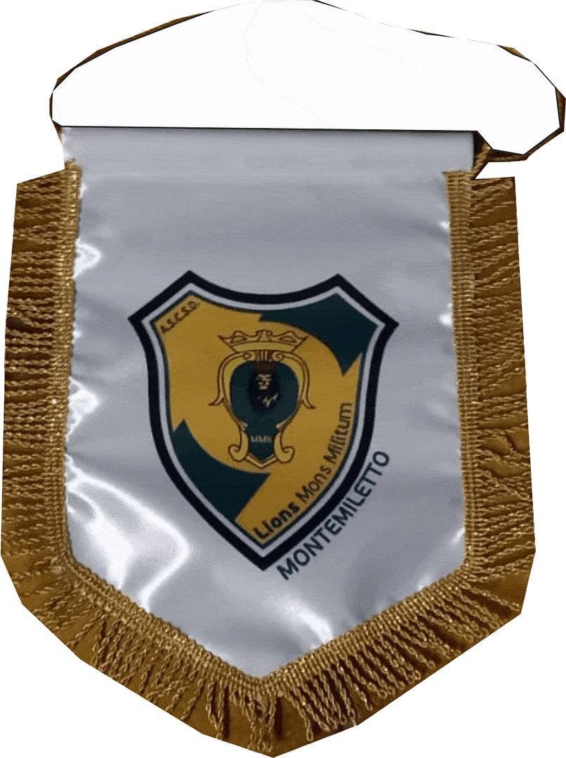 gagliardetto lions mons militum gagliardetto lions mons militum