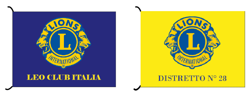 modello lions personalizzato modello lions