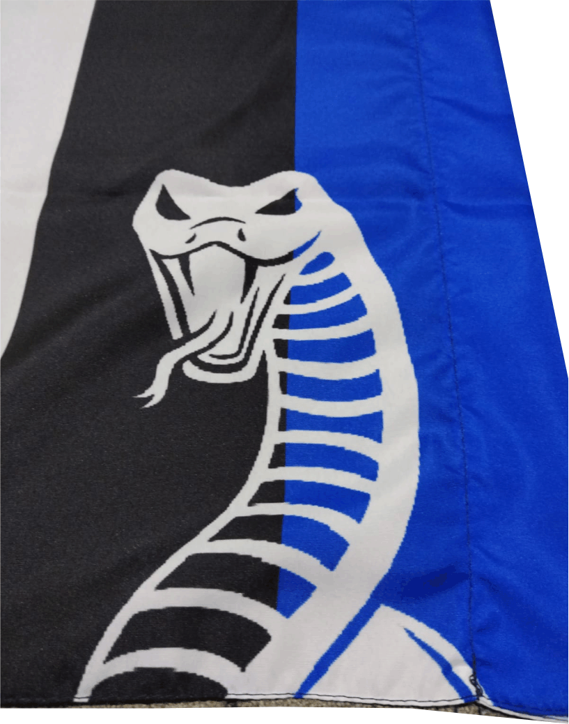 particolare serpente particolare serpente