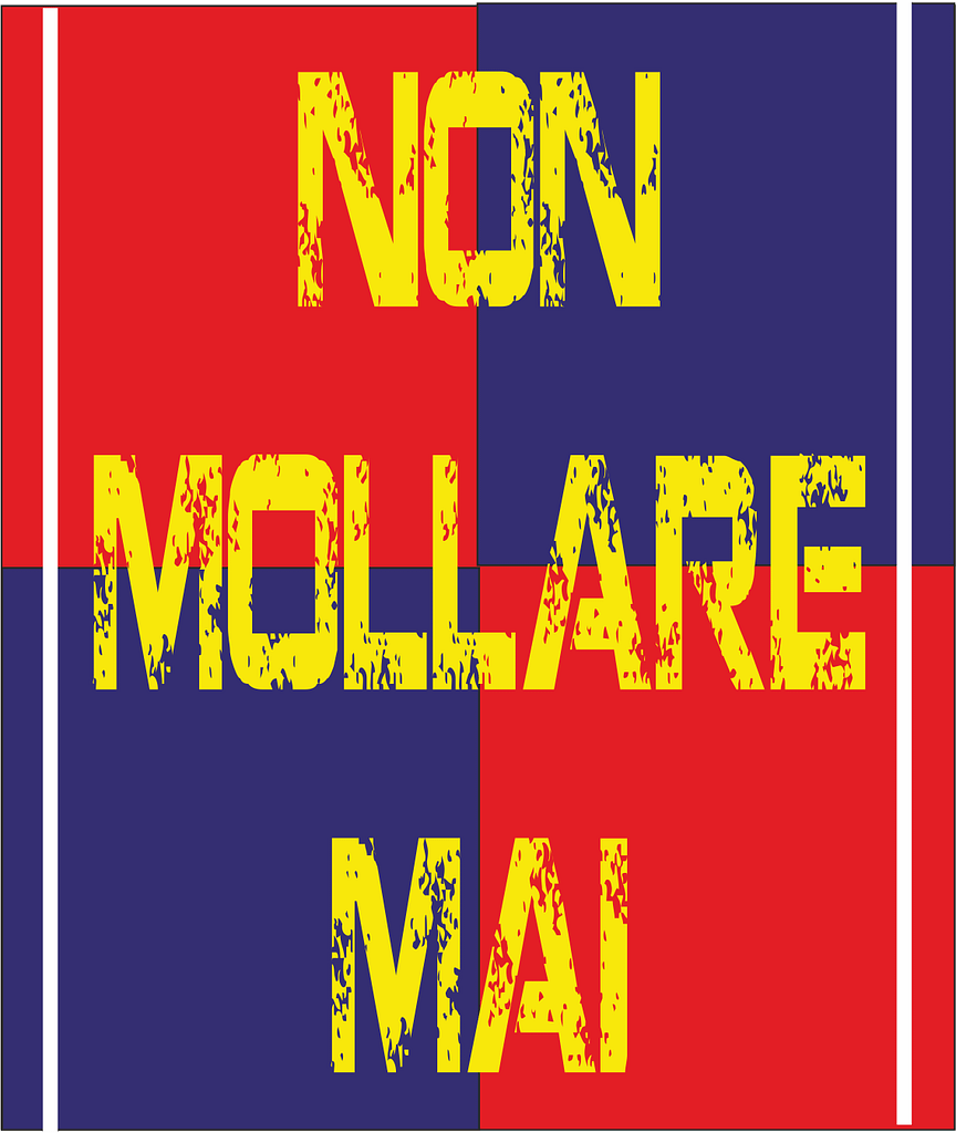 bandiera non mollare mai bandiera non mollare mai