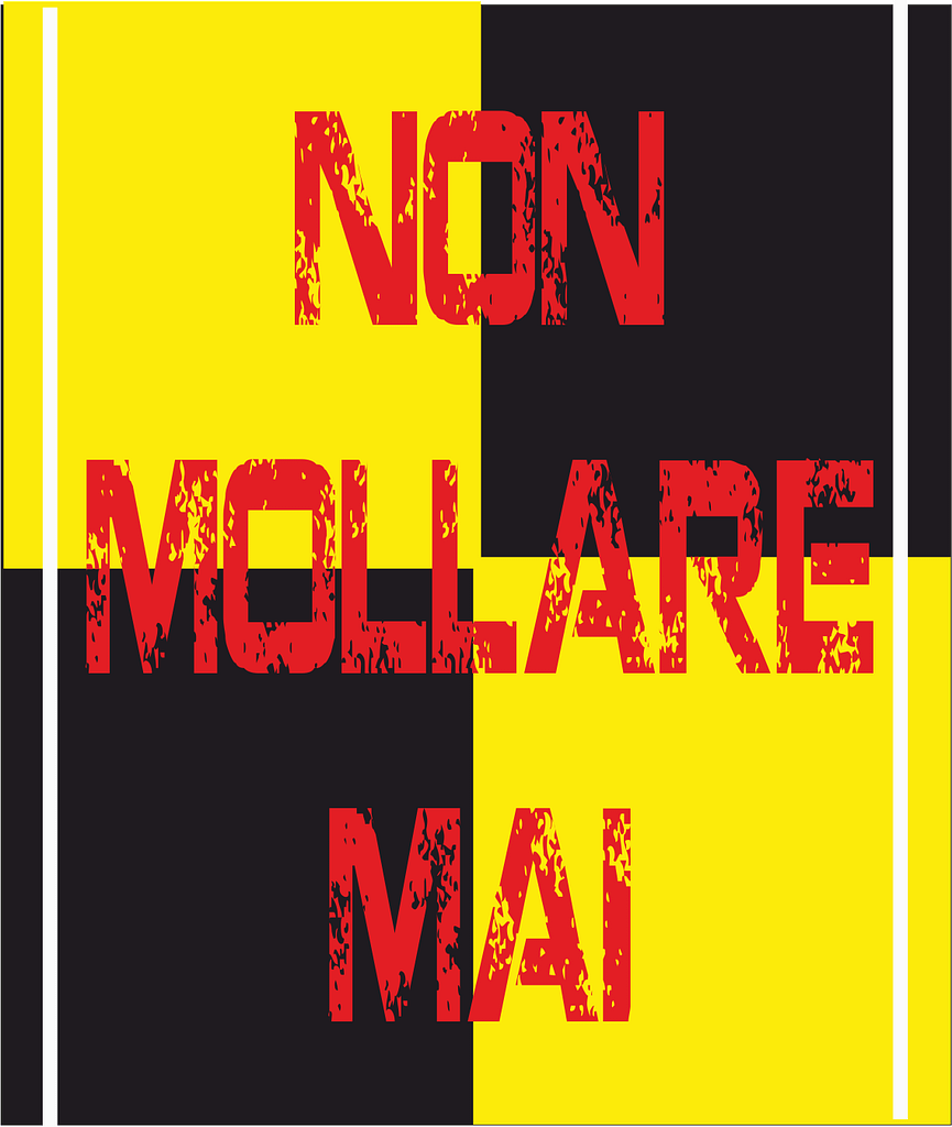bandiera a 2 aste giallo nera non mollare mail bandiera a 2 aste giallo nera non mollare mail