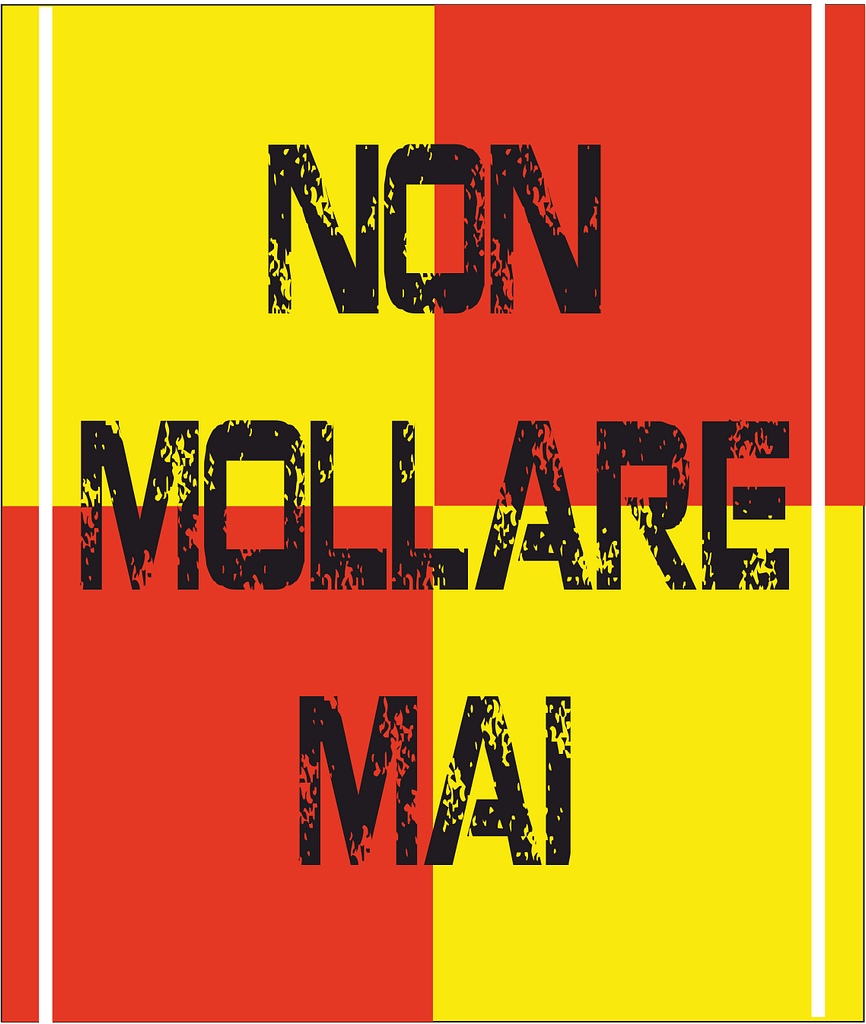 bandiera a 2 aste non mollare mai bandiera a 2 aste non mollare mai