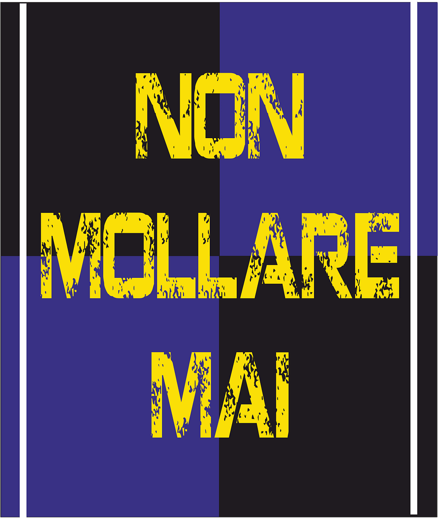 bandiera a 2 aste non mollare mai nero azzurra bandiera a 2 aste non mollare mai nero azzurra