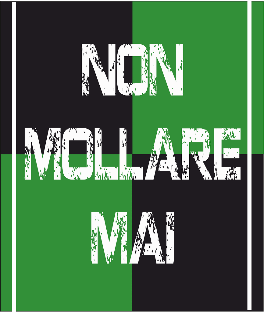 bandiera a 2 aste nero verde bandiera a 2 aste nero verde
