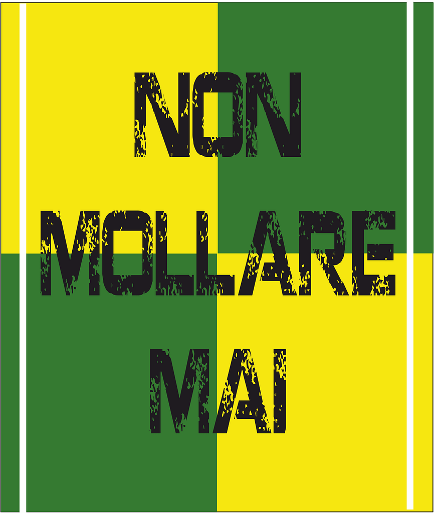 non mollare mai giallo verde non mollare mai giallo verde