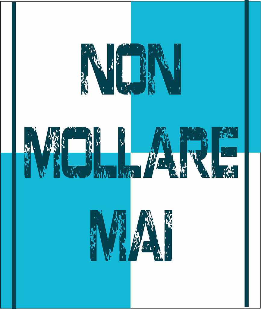 bandiera non mollare mai bianco celeste bandiera non mollare mai bianco celeste