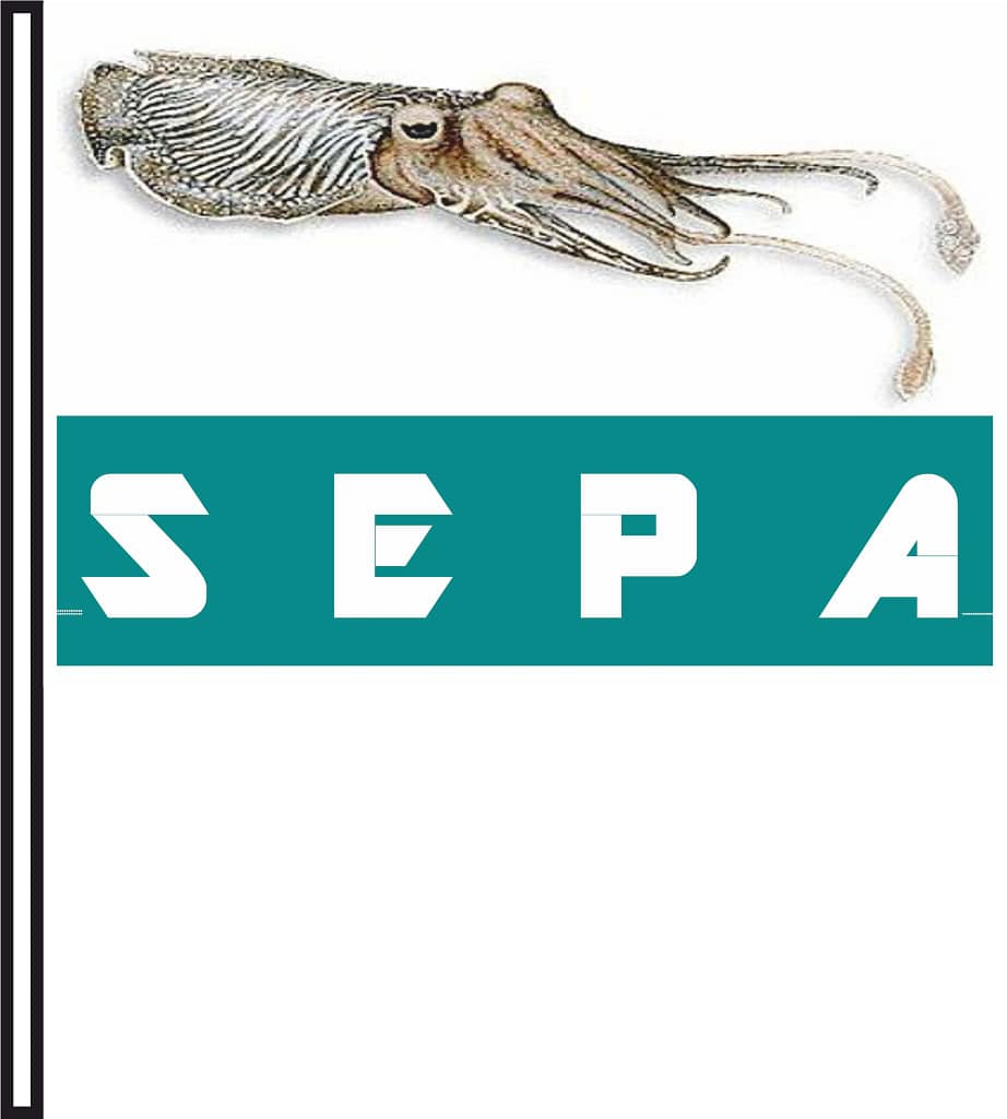 bandierina sepa bandierina sepa