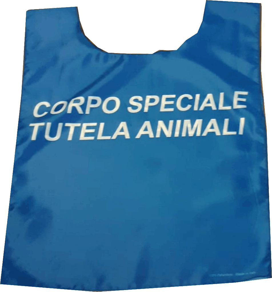 pettorina all over piccole quantità personalizzate tutela animali pettorina all over piccole quantità tutela animali