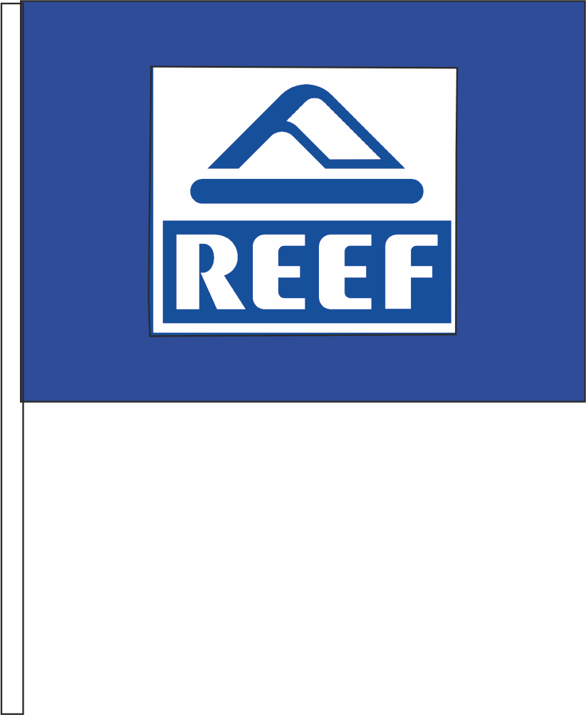 bandierina reef bandierina reef
