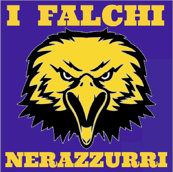 stendardo falchi nerazzurri stendardo falchi nerazzurri