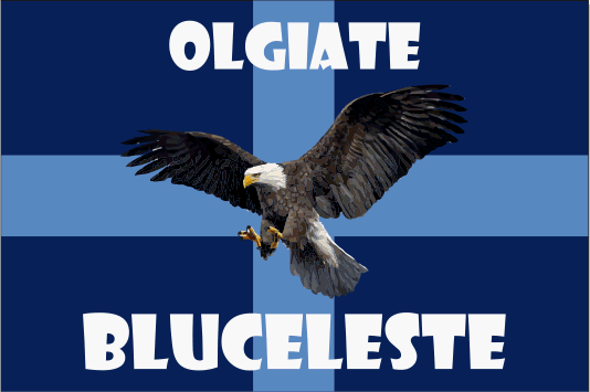 gruppo olgiate bluceleste gruppo olgiate bluceleste