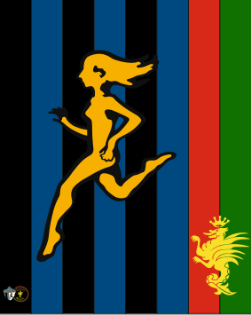 due aste atalanta ternana due aste atalanta ternana