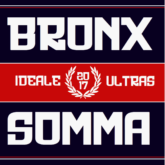 stendardo bronx somma vesuviana stendardo bronx somma vesuviana