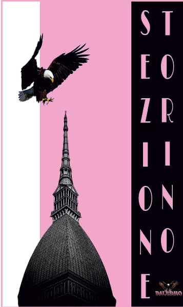 bandiera stadio Ultras Palermo sezione torino bandiera stadio personalizzata sezione torino