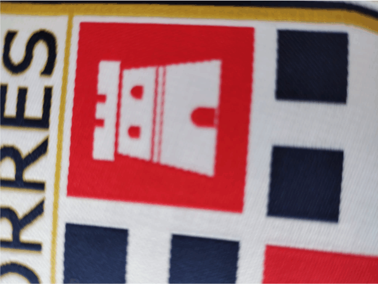particolare logo torres particolare logo torres