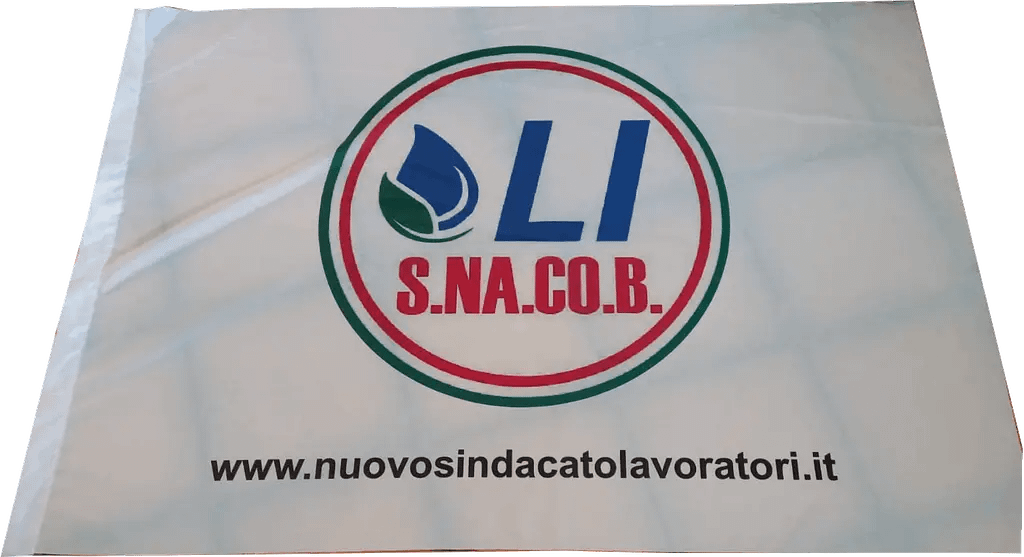 Bandiera Per Auto Palestina Digni &ndash; 30x40 Cm, 100% Poliestere, Con Attacco